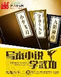 学武功的书