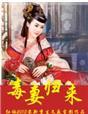 毒妻恶女
