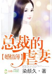 冷面总裁只欢不爱
