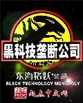 黑科技垄断公司类