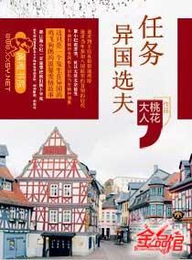 异国选夫结局