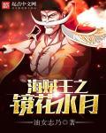 有关海贼王之镜镜果实的